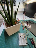 Testing the moisture sensor. Testing the moisture sensor.